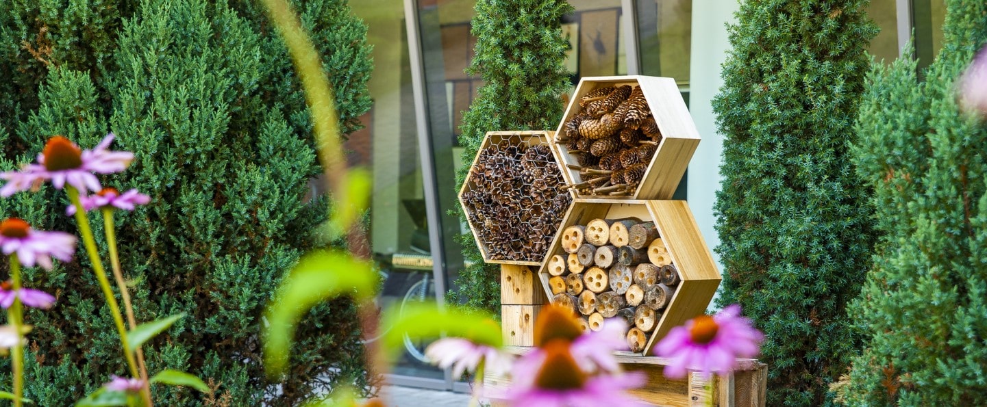 SOCOTEC Certification International, an independent certification body, has certified B&B HOTELS on sustainability with a certification specifically developed for the hospitality sector in compliance with ISO 26000