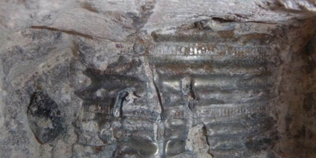 socotec-wenallt-investigation