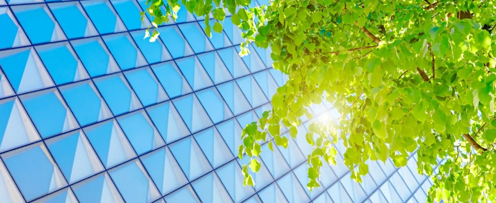 visual of a green building
