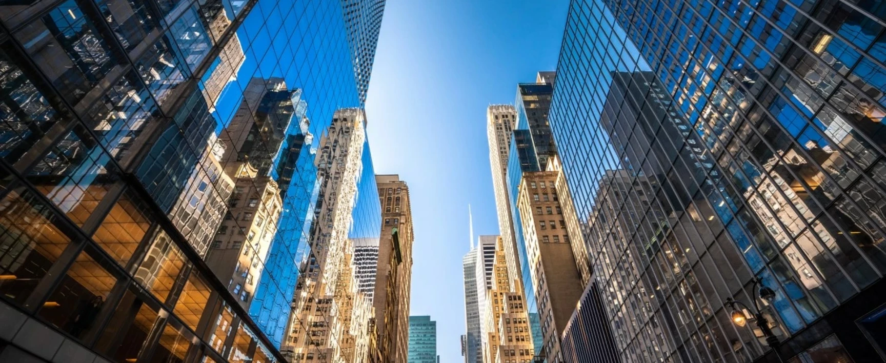 visual of vidaris building