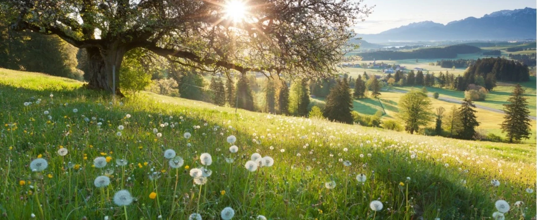 socotec-germany-landscape