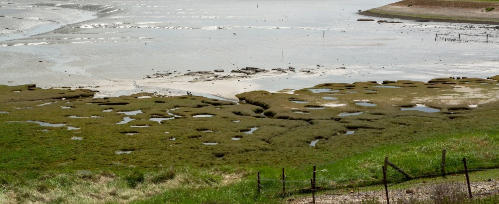 socotec-header-netherlands