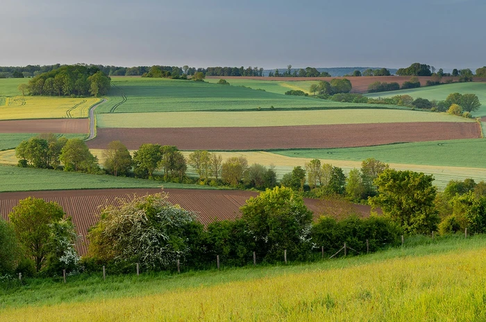 paysage-champs paysage-champs
