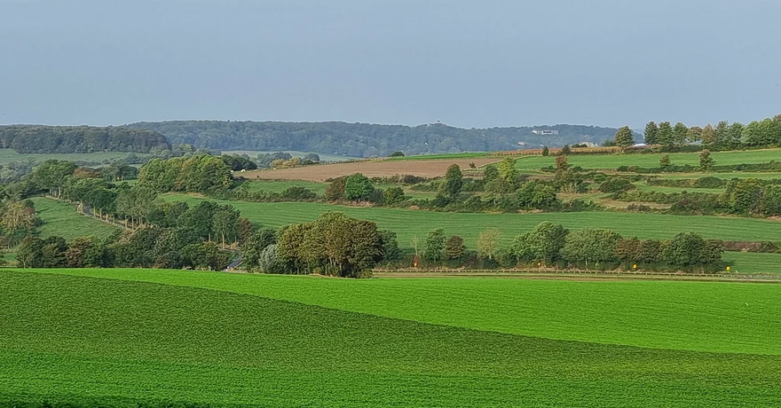paysage-champs-pays-bas
