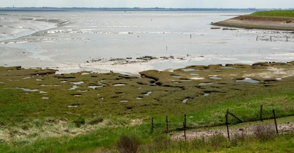 socotec-header-netherlands